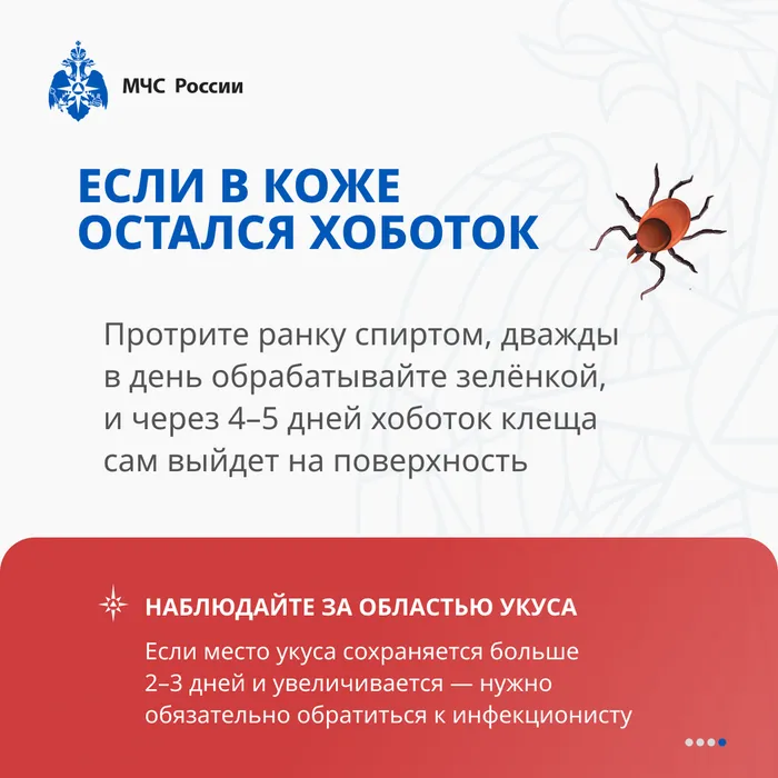 ИНФО 87