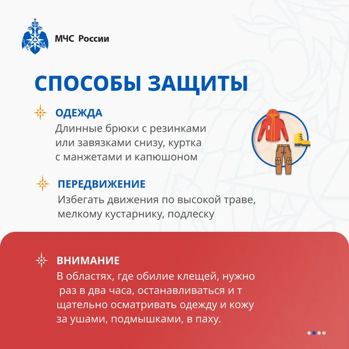 ИНФО 84