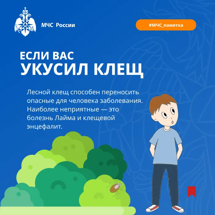 ИНФО 85